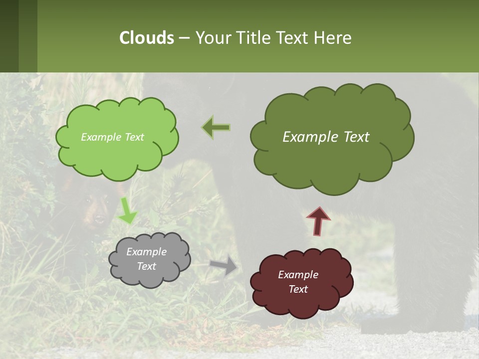 Wildlife Carolina American PowerPoint Template