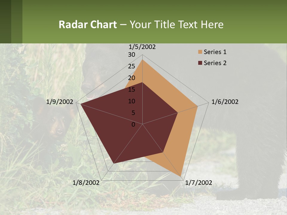 Wildlife Carolina American PowerPoint Template