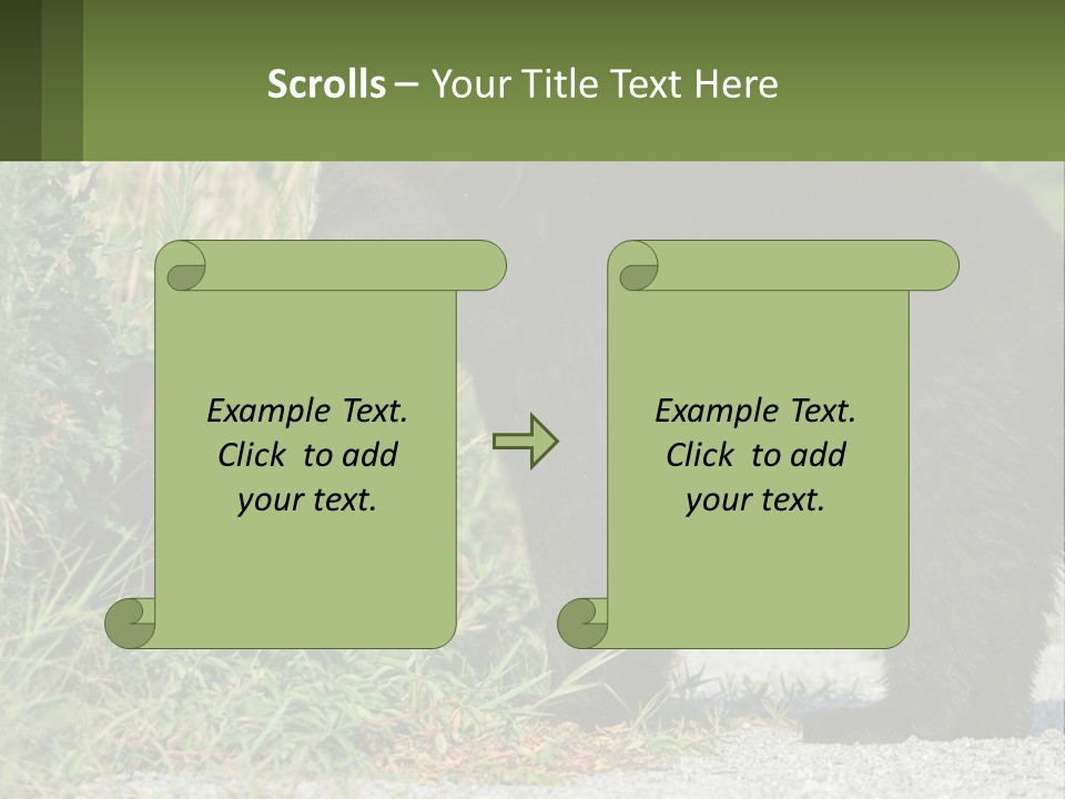 Wildlife Carolina American PowerPoint Template