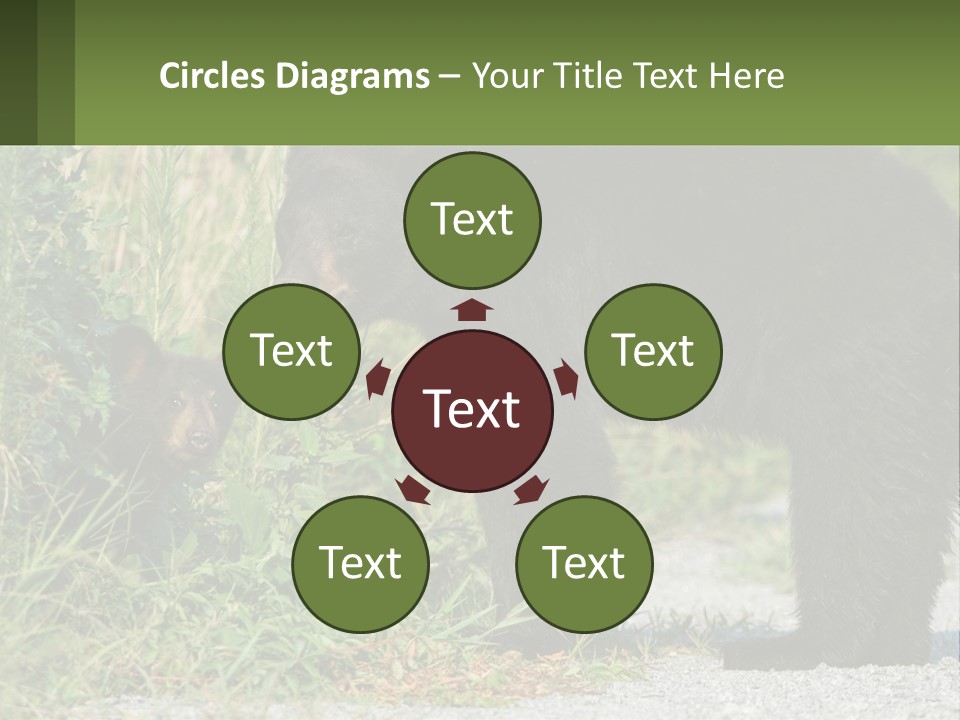 Wildlife Carolina American PowerPoint Template