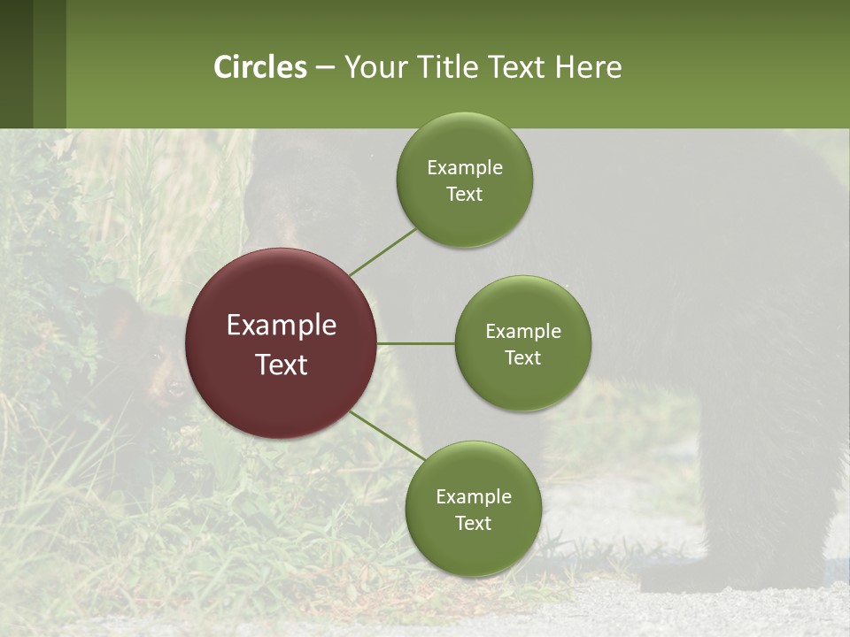 Wildlife Carolina American PowerPoint Template