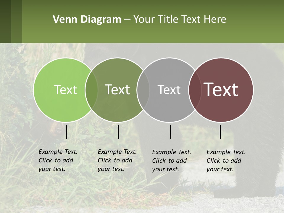 Wildlife Carolina American PowerPoint Template