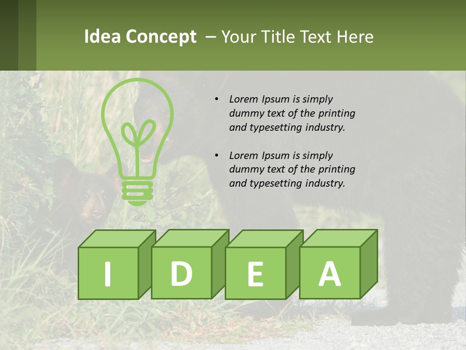 Wildlife Carolina American PowerPoint Template