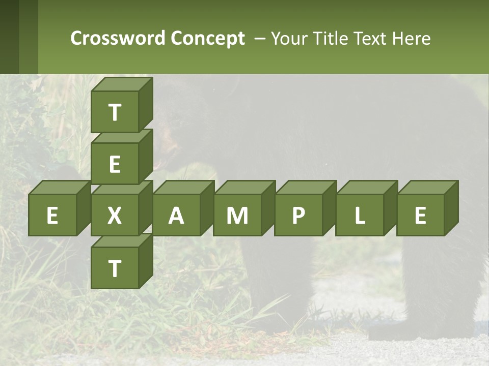 Wildlife Carolina American PowerPoint Template