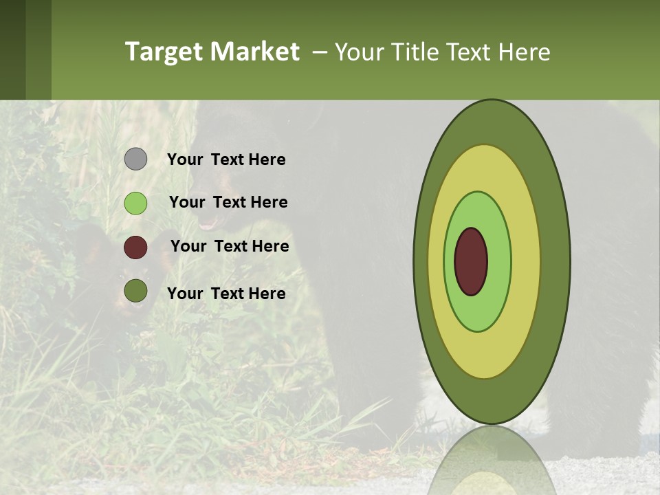 Wildlife Carolina American PowerPoint Template