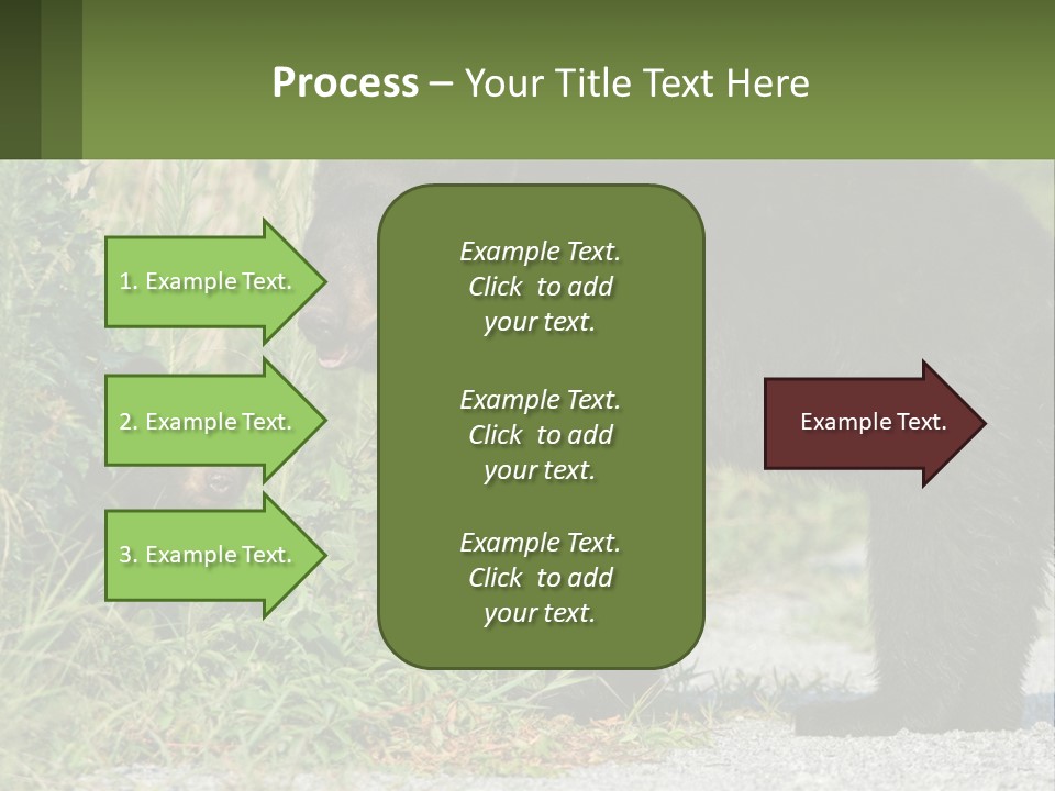 Wildlife Carolina American PowerPoint Template