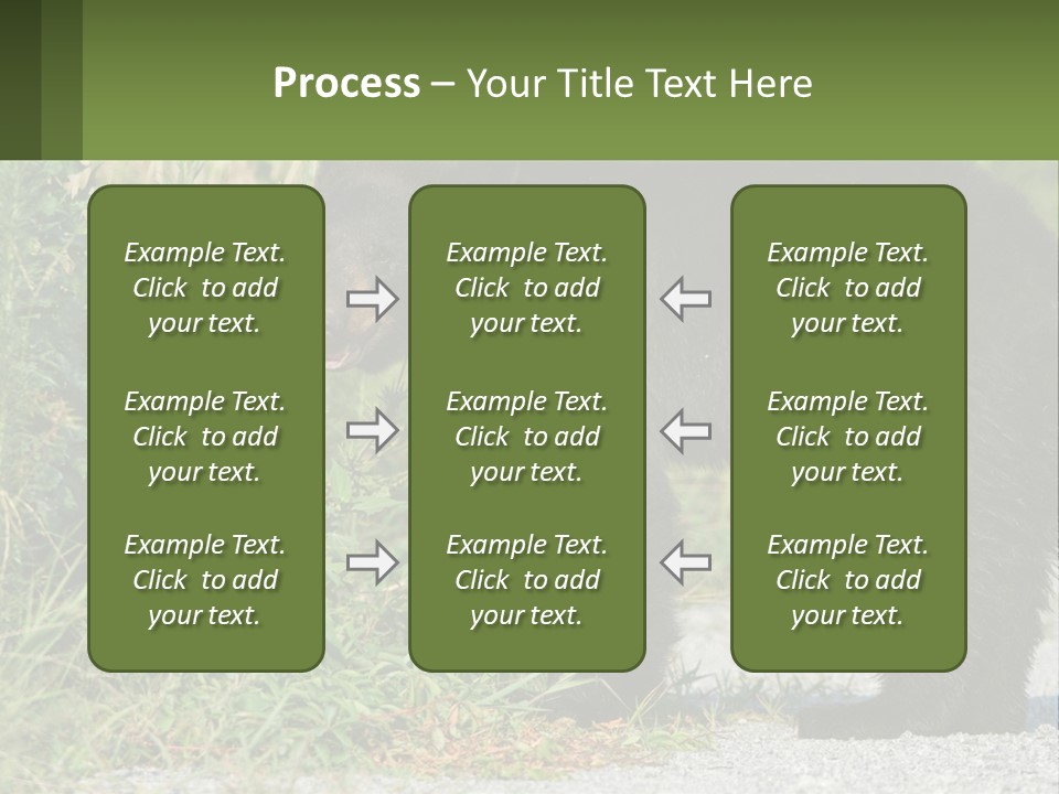 Wildlife Carolina American PowerPoint Template