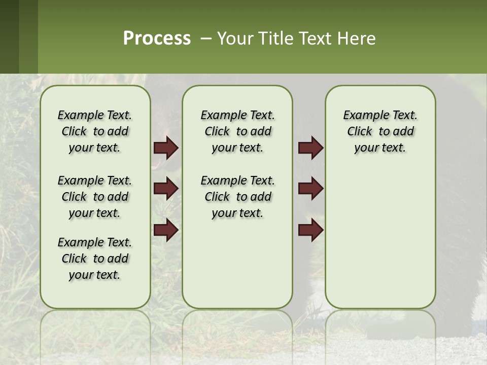 Wildlife Carolina American PowerPoint Template