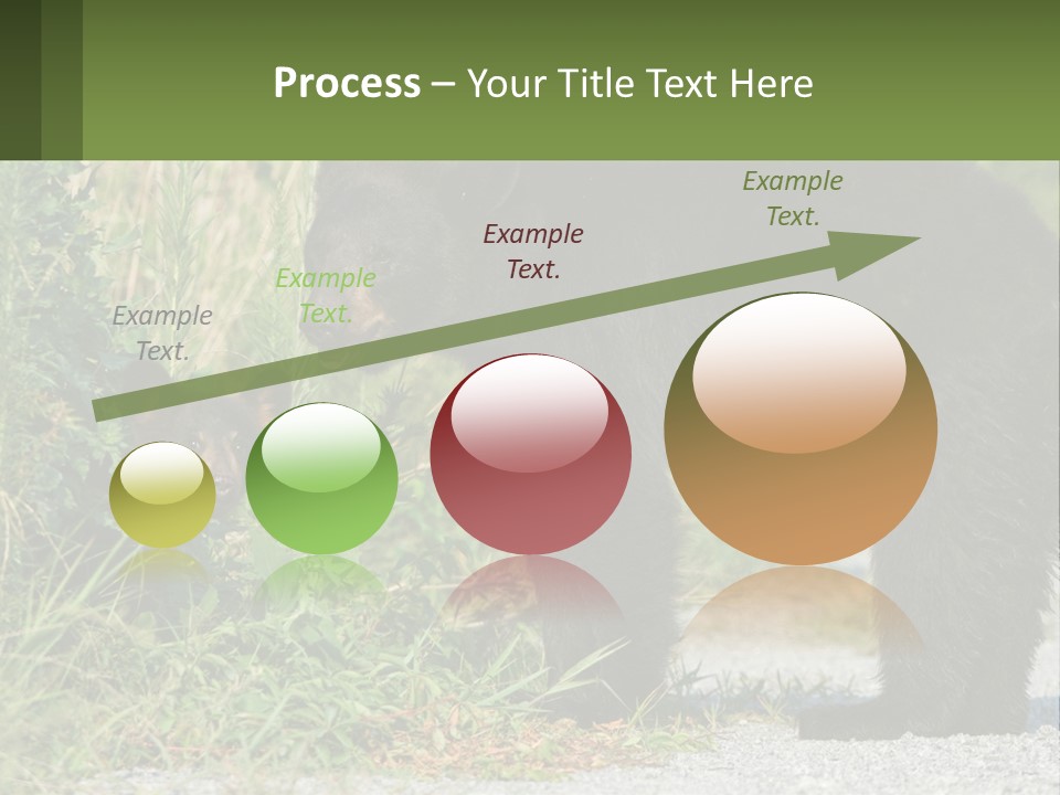 Wildlife Carolina American PowerPoint Template