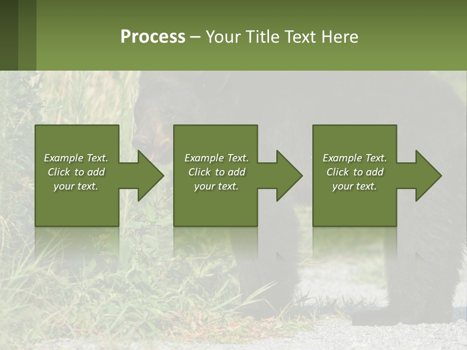 Wildlife Carolina American PowerPoint Template