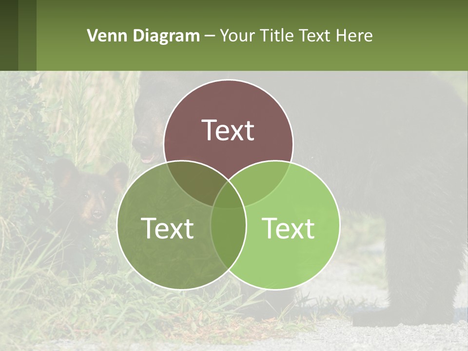 Wildlife Carolina American PowerPoint Template