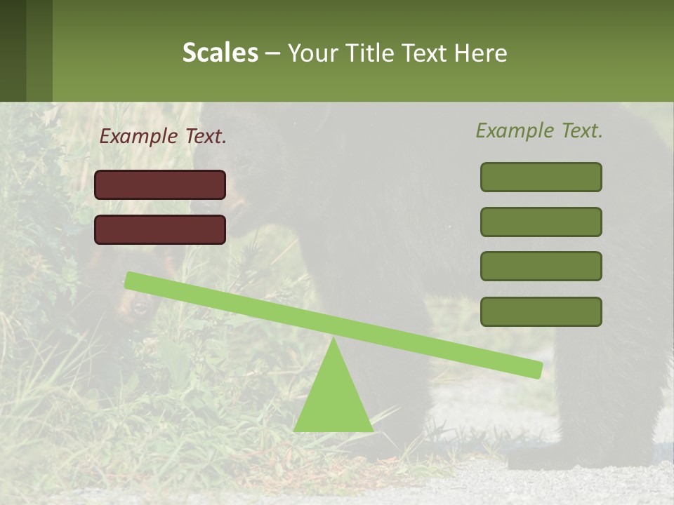 Wildlife Carolina American PowerPoint Template