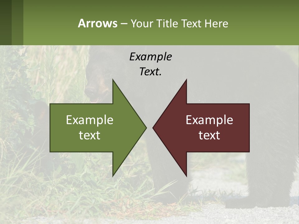 Wildlife Carolina American PowerPoint Template