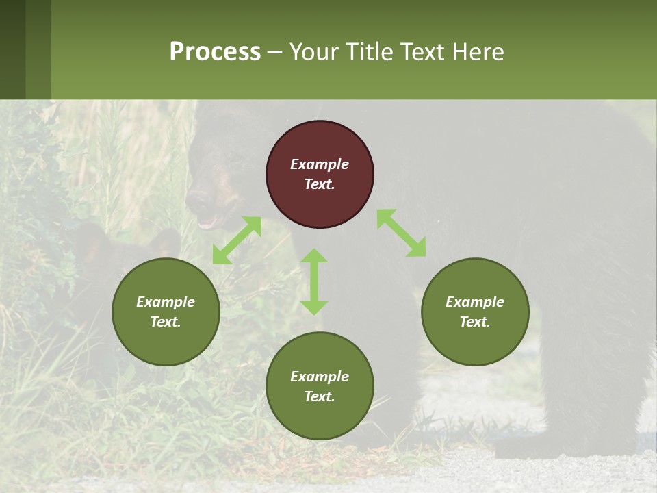 Wildlife Carolina American PowerPoint Template