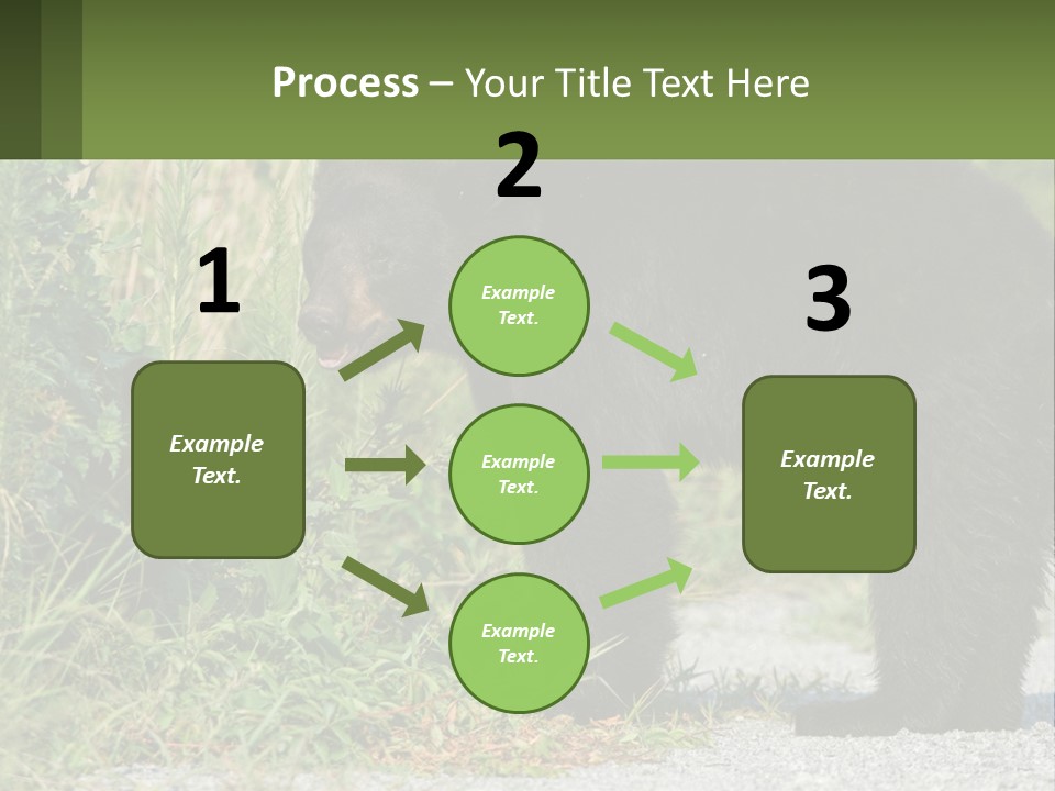 Wildlife Carolina American PowerPoint Template