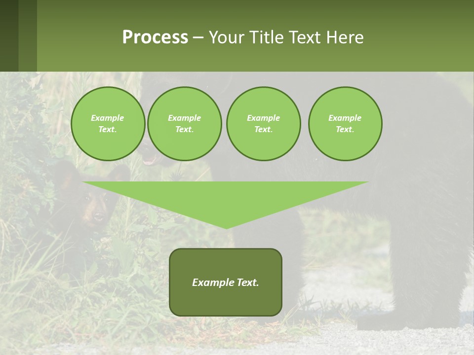 Wildlife Carolina American PowerPoint Template