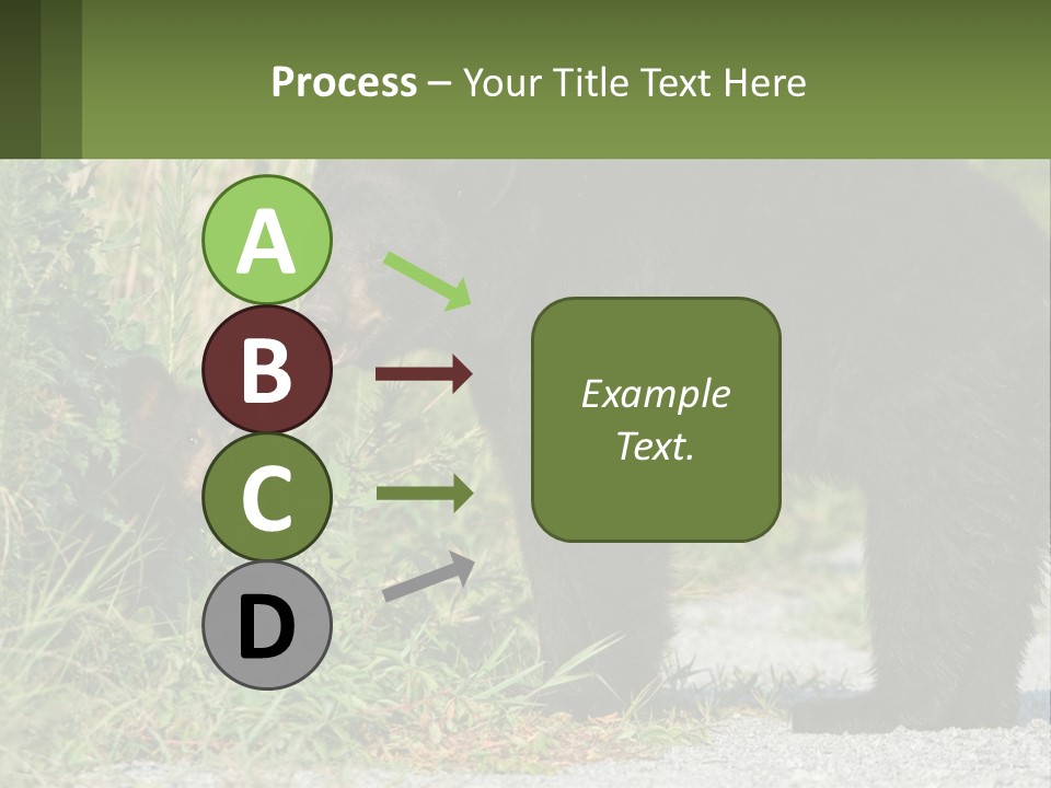 Wildlife Carolina American PowerPoint Template