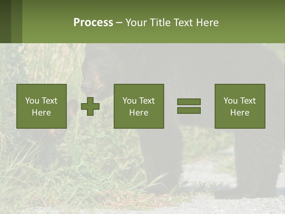 Wildlife Carolina American PowerPoint Template