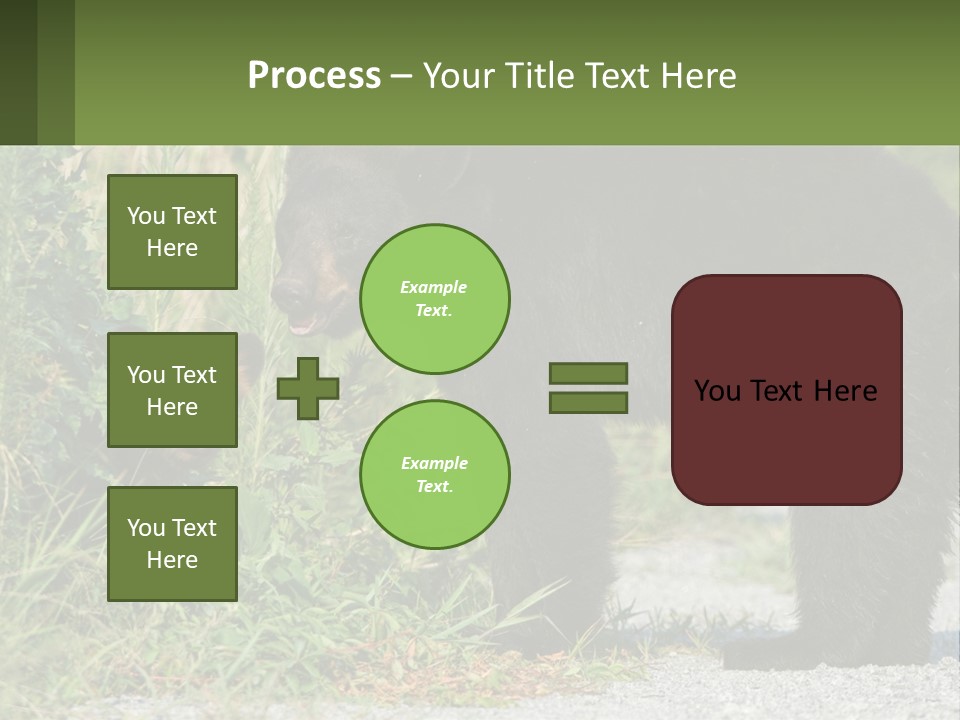 Wildlife Carolina American PowerPoint Template