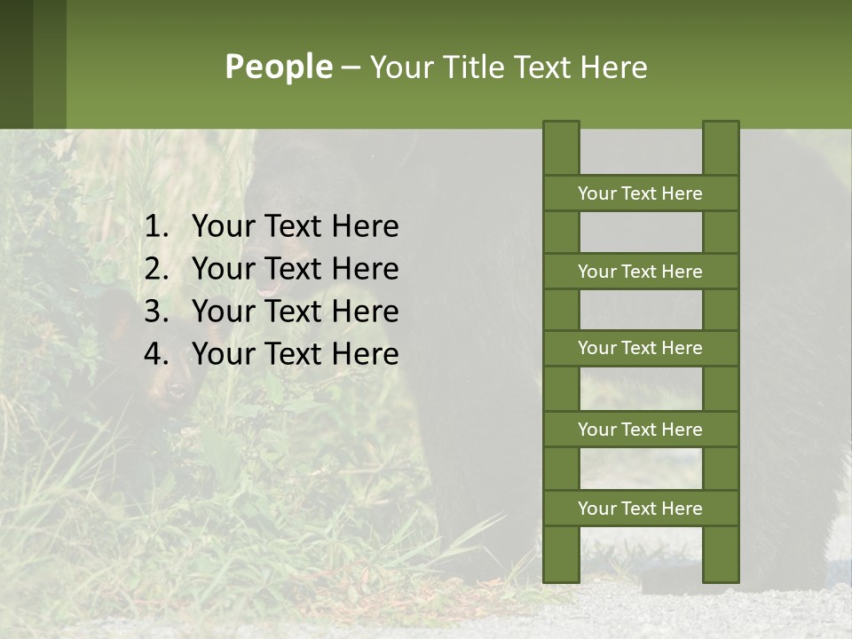 Wildlife Carolina American PowerPoint Template