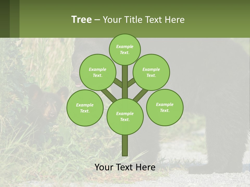 Wildlife Carolina American PowerPoint Template