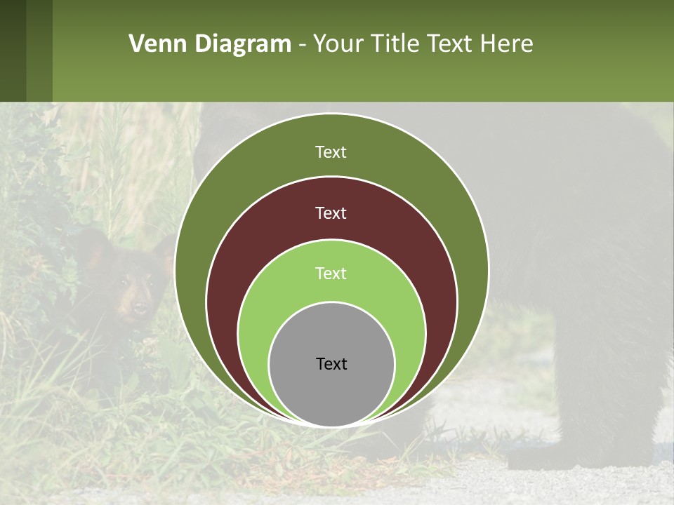 Wildlife Carolina American PowerPoint Template