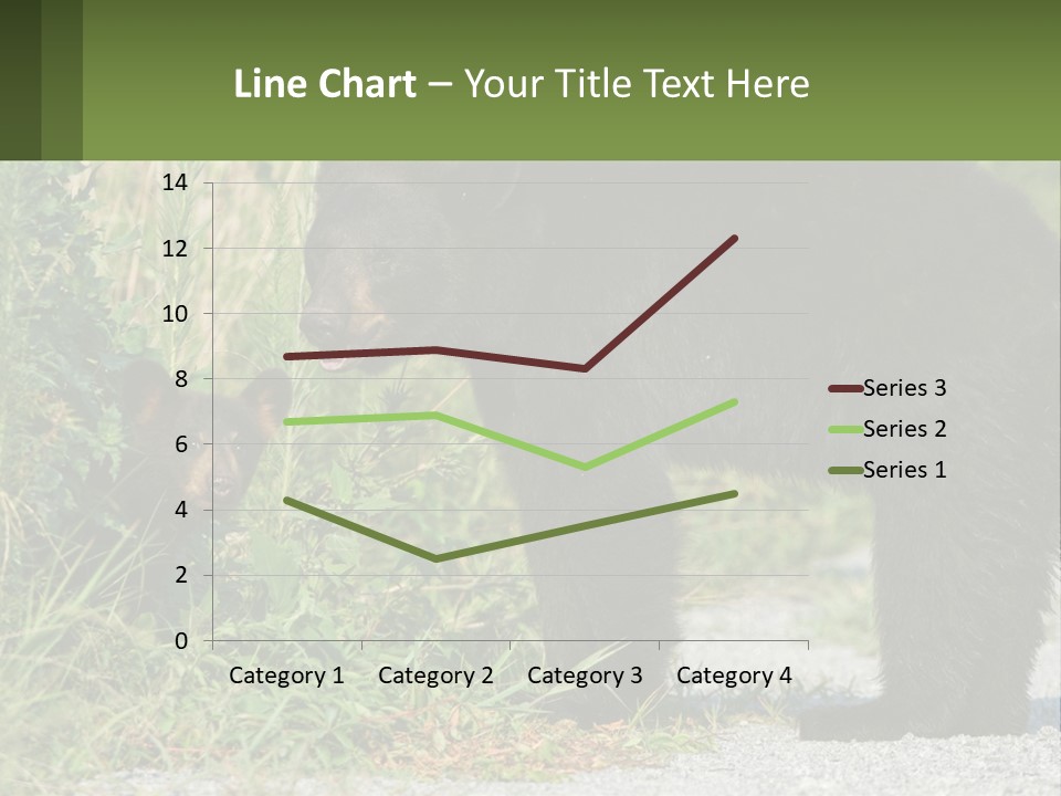 Wildlife Carolina American PowerPoint Template