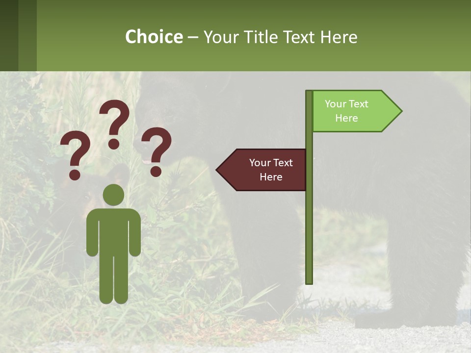 Wildlife Carolina American PowerPoint Template