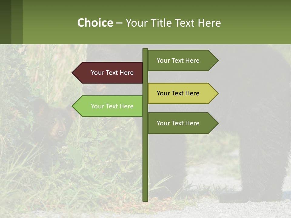 Wildlife Carolina American PowerPoint Template