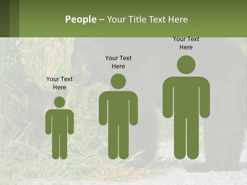 Wildlife Carolina American PowerPoint Template