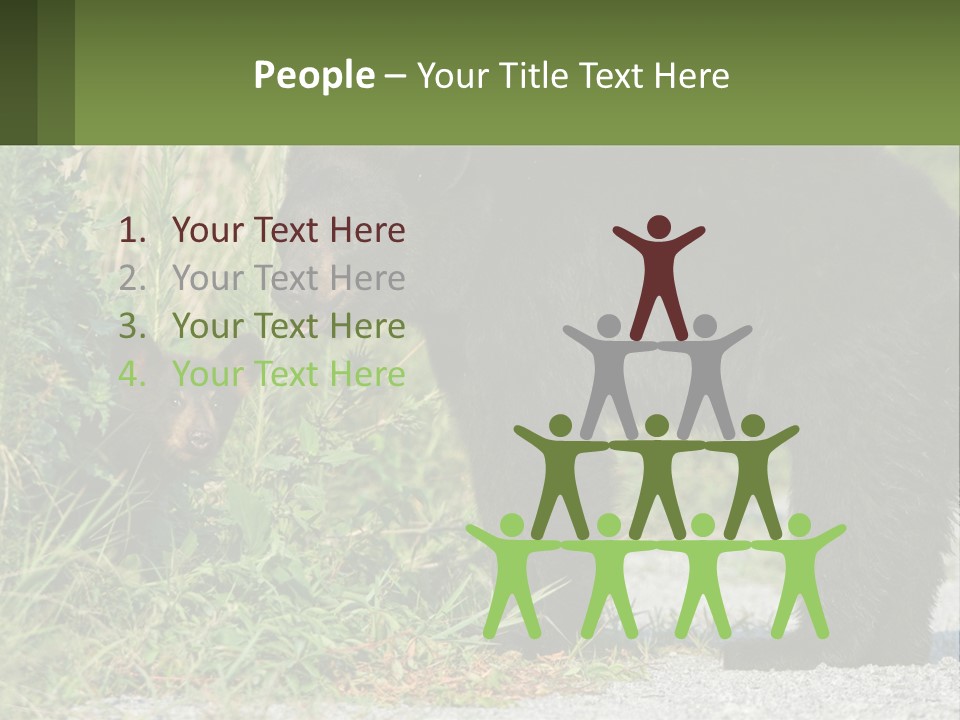 Wildlife Carolina American PowerPoint Template