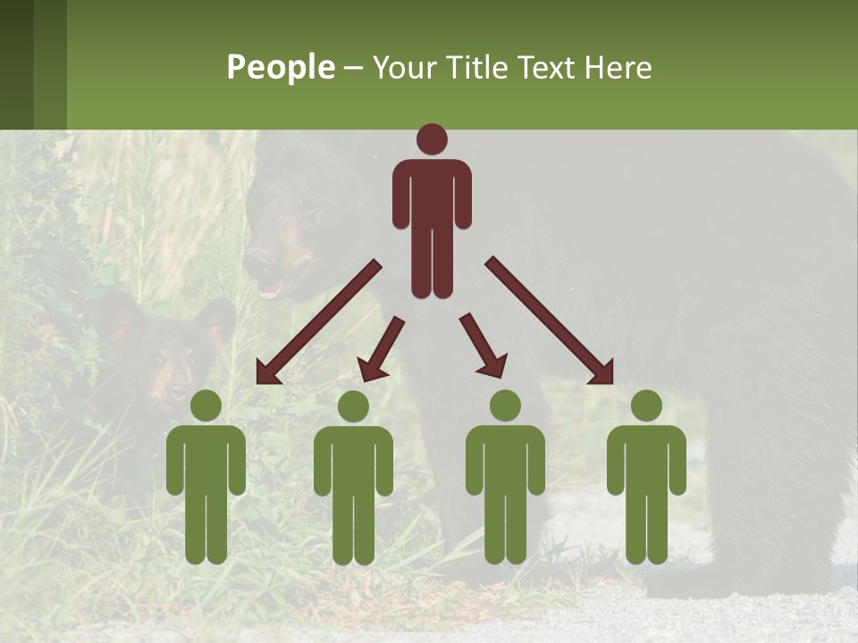 Wildlife Carolina American PowerPoint Template