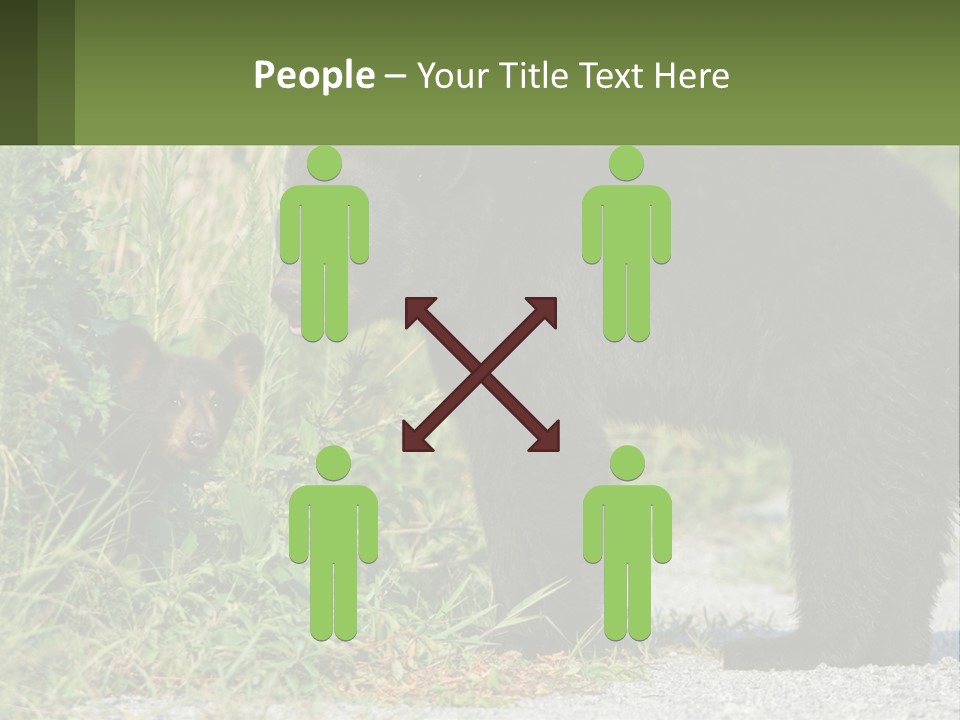 Wildlife Carolina American PowerPoint Template