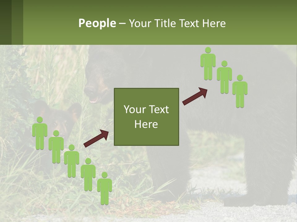 Wildlife Carolina American PowerPoint Template