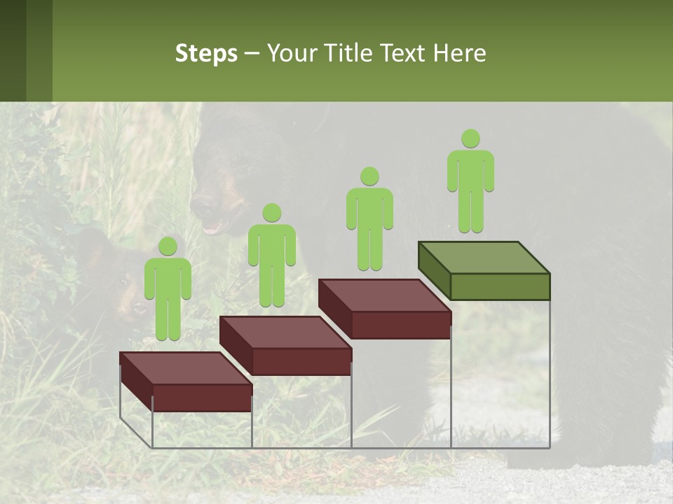 Wildlife Carolina American PowerPoint Template