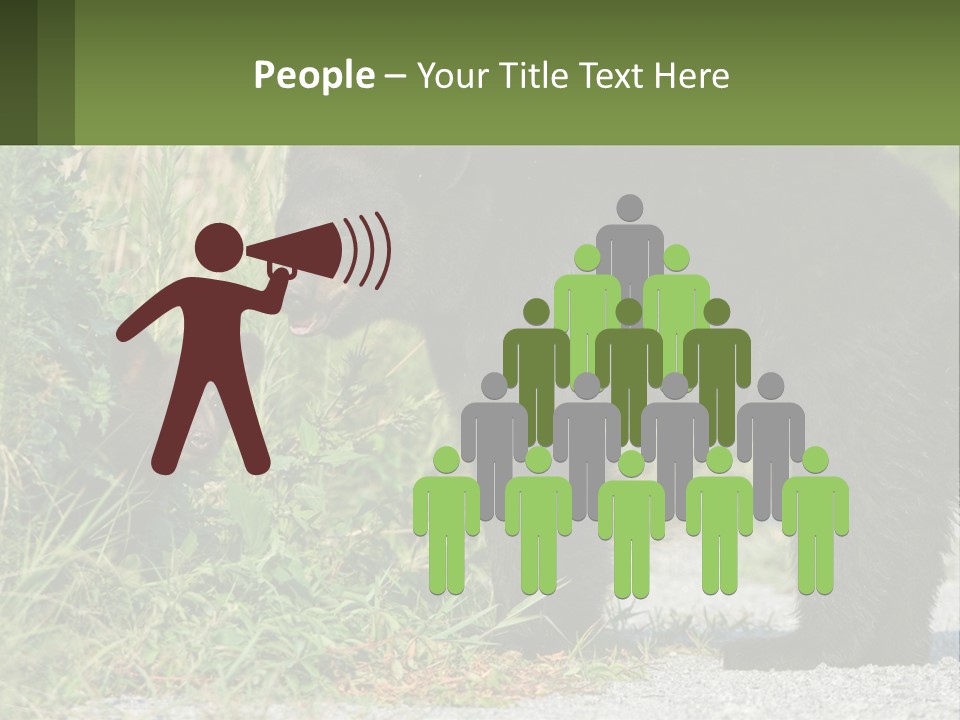 Wildlife Carolina American PowerPoint Template