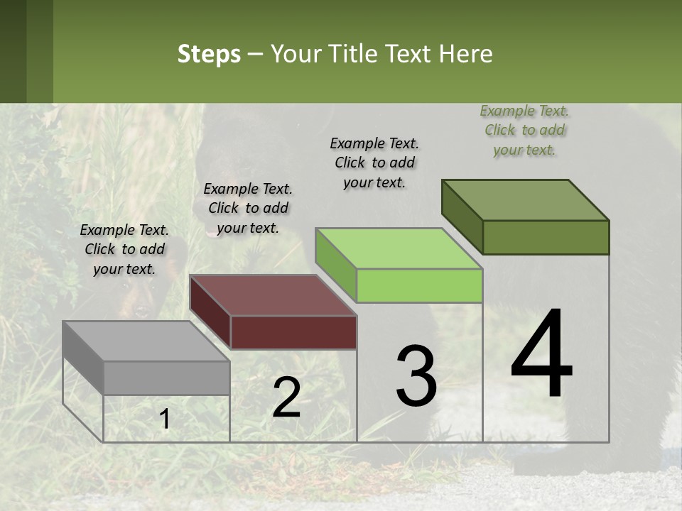 Wildlife Carolina American PowerPoint Template