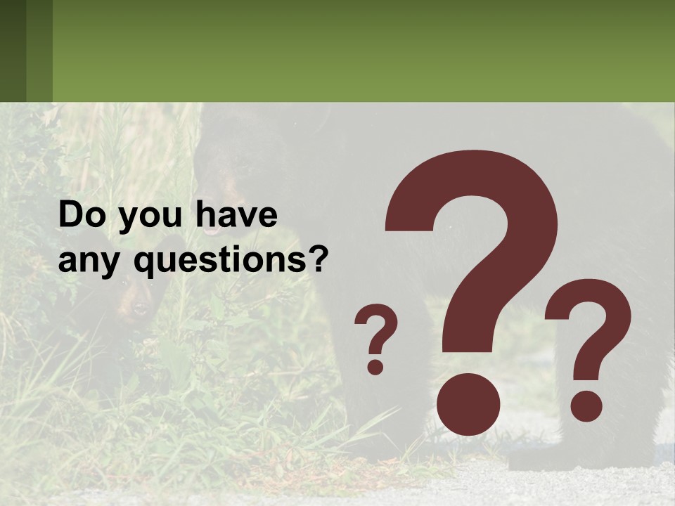 Wildlife Carolina American PowerPoint Template