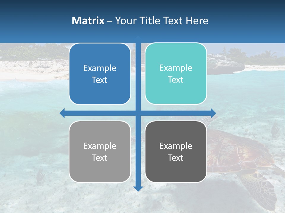 Turtle Red Coastline PowerPoint Template