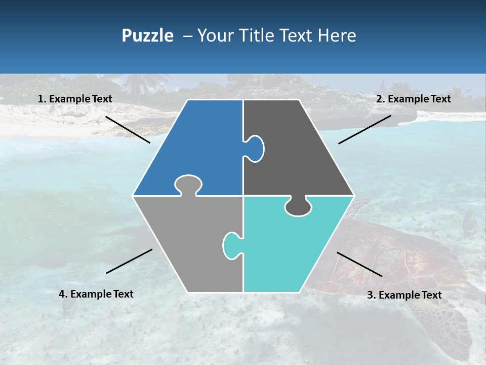 Turtle Red Coastline PowerPoint Template