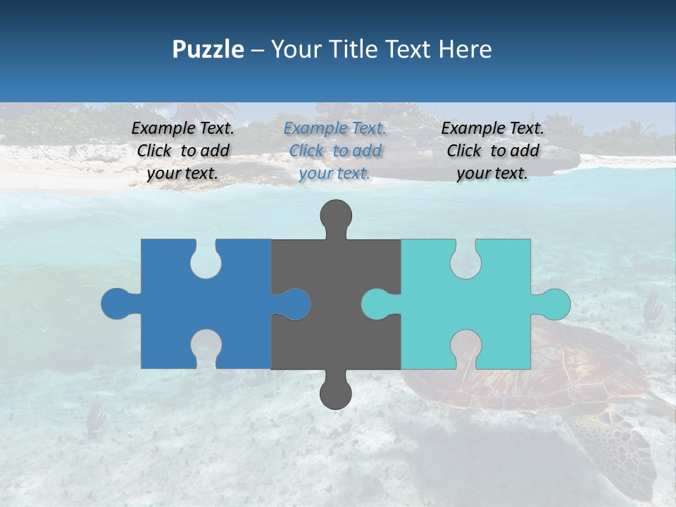 Turtle Red Coastline PowerPoint Template