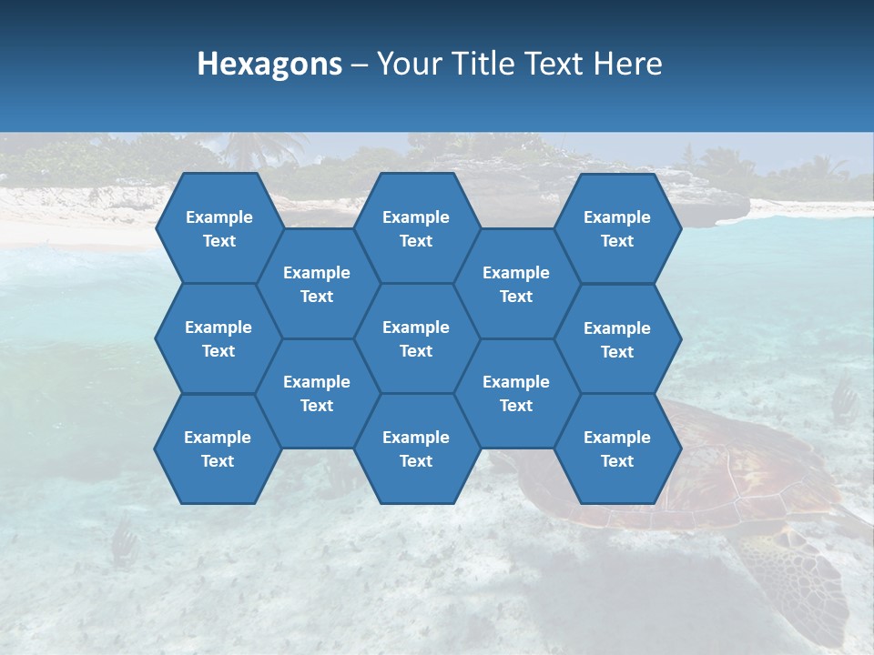 Turtle Red Coastline PowerPoint Template