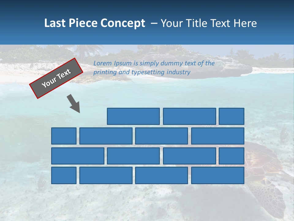 Turtle Red Coastline PowerPoint Template