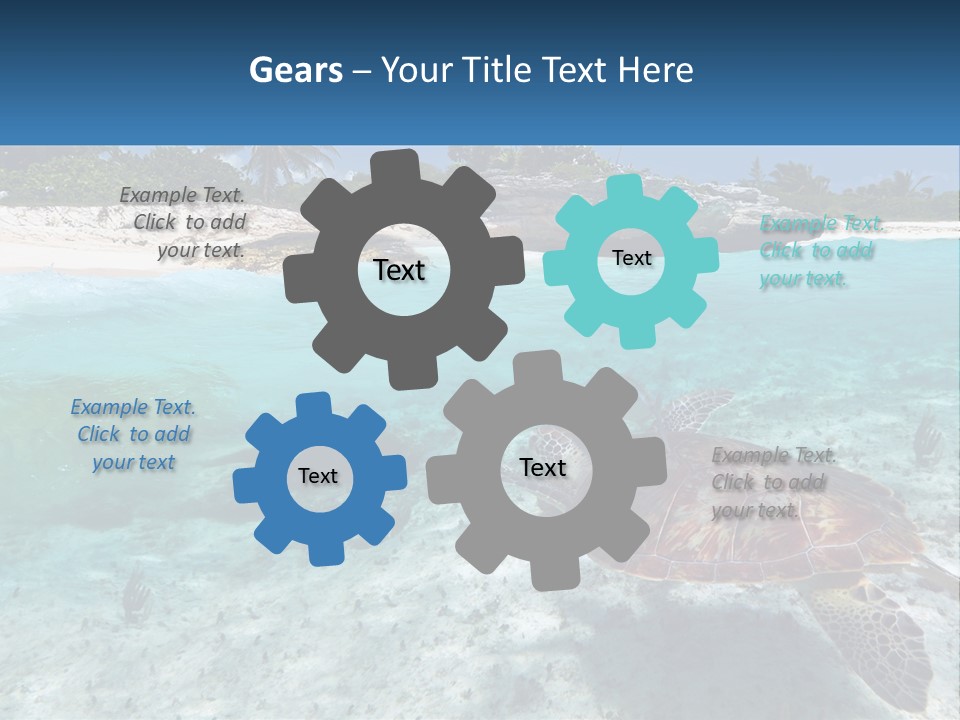 Turtle Red Coastline PowerPoint Template