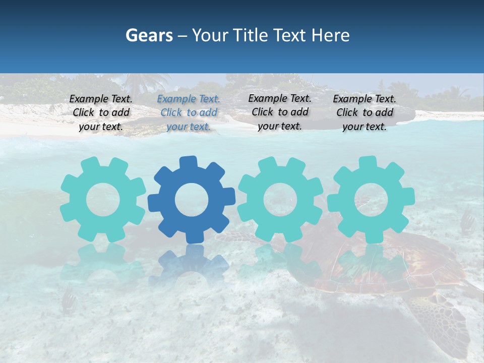 Turtle Red Coastline PowerPoint Template