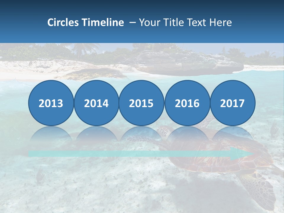 Turtle Red Coastline PowerPoint Template