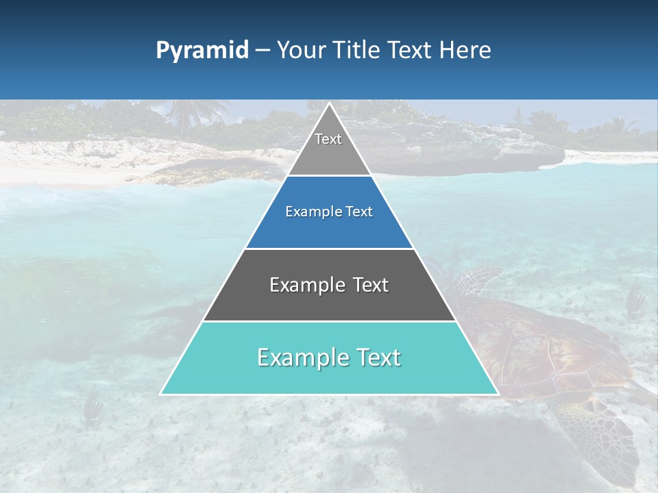 Turtle Red Coastline PowerPoint Template
