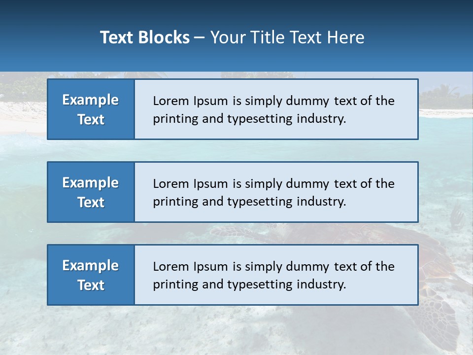 Turtle Red Coastline PowerPoint Template