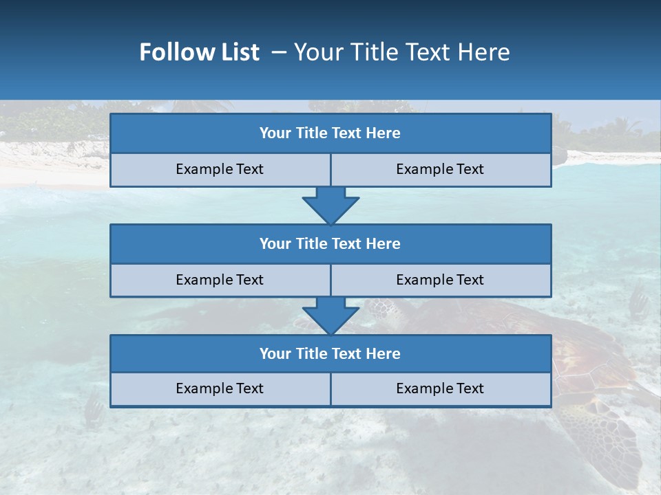 Turtle Red Coastline PowerPoint Template