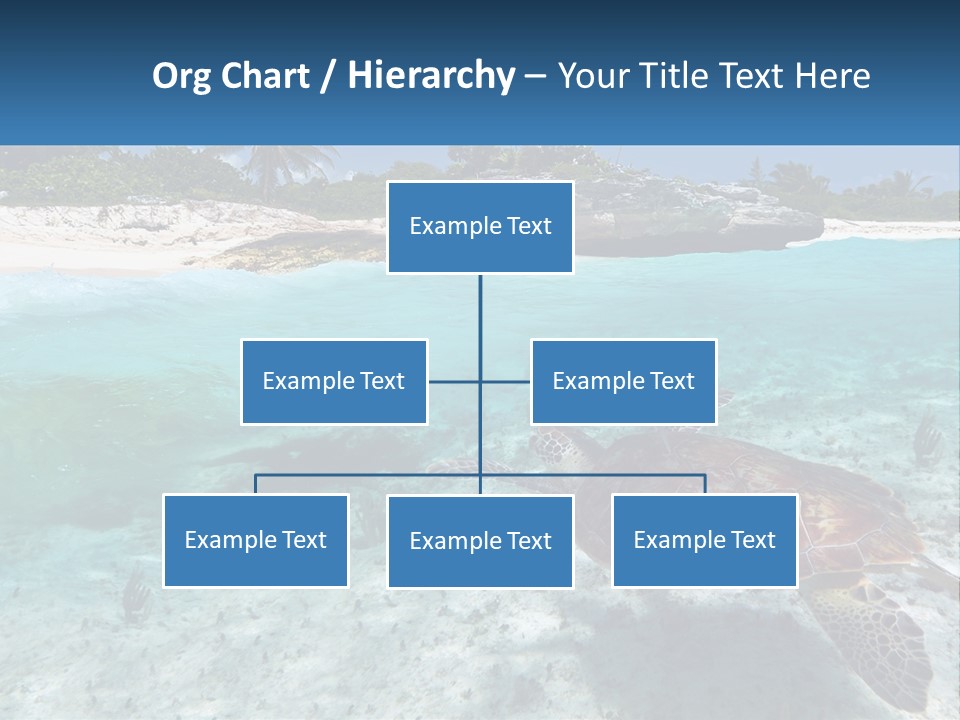 Turtle Red Coastline PowerPoint Template